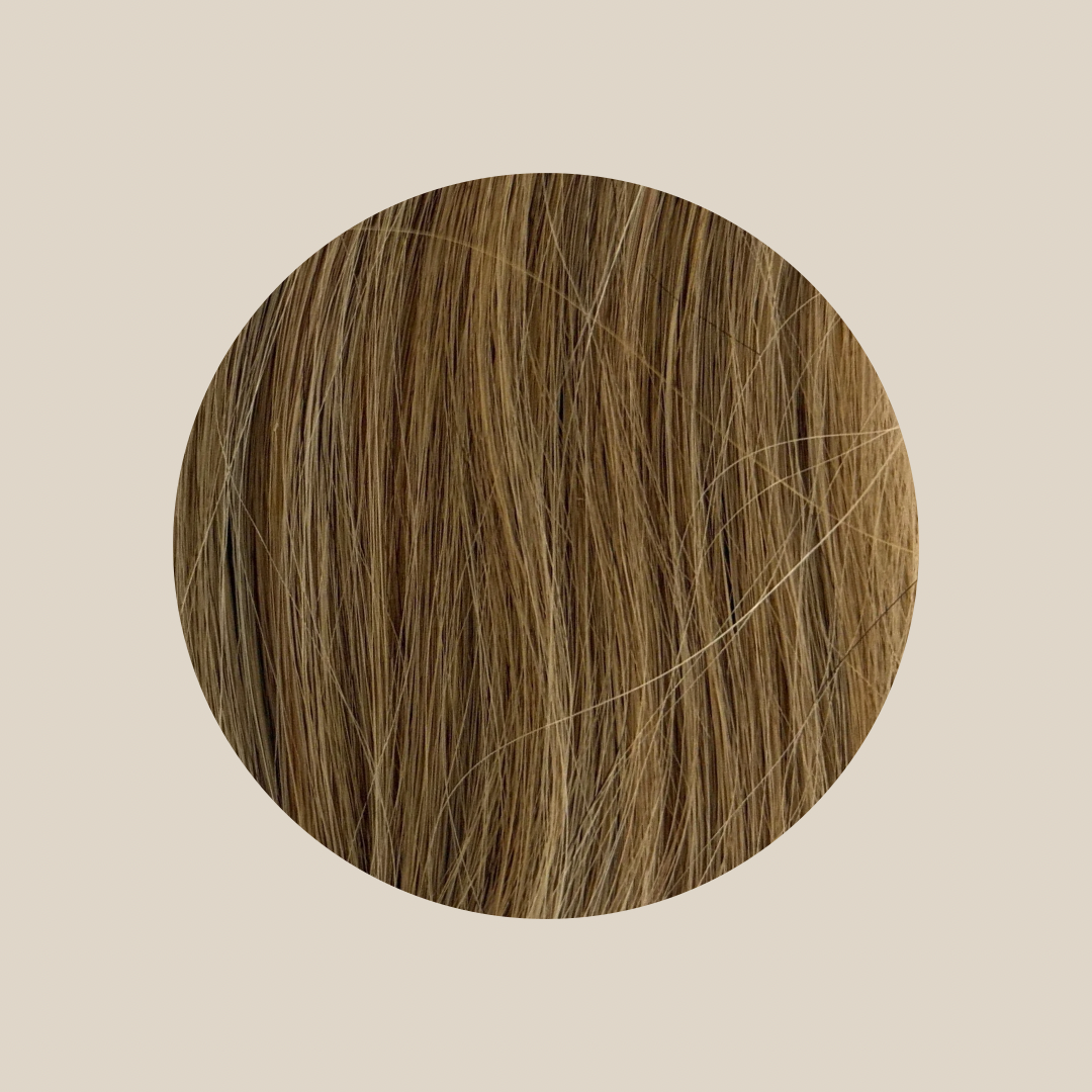 BROW EXTENSIONS - HONEY